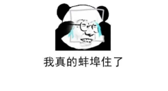 30句可爱的谐音梗文案句子