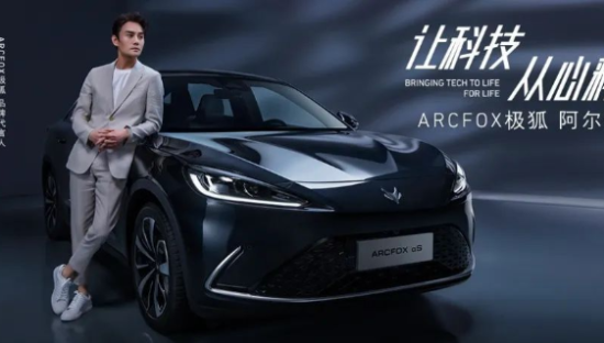 崔健，带不动极狐