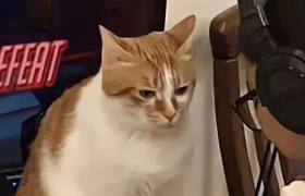 30句幽默搞笑的文案句子！