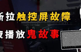 特斯拉“闹鬼”，灵异的新能源