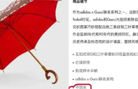 Gucci X Adidas联名的雨伞，1w多竟然不防水！？