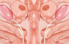 杜蕾斯年中“飚车”海报，坐稳了哈～