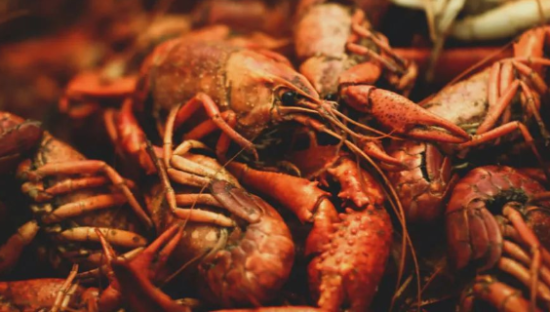 4000亿市场，小龙虾为什么还在火？