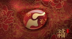 河南卫视好强！台标居然每个季节都会变