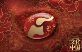 河南卫视好强！台标居然每个季节都会变