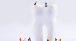 这届00后没有“种牙自由”