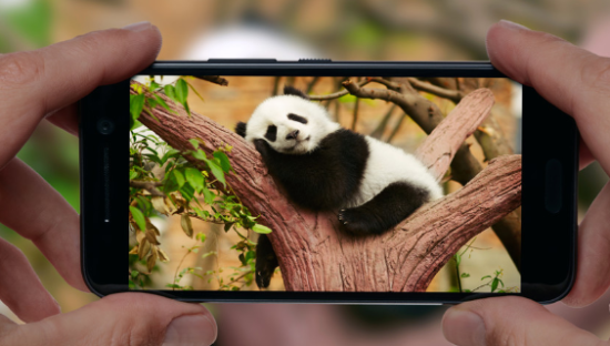 手机影像20年，中国制造的不屈样本