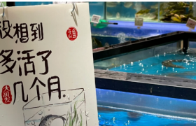 上海大润发写了组有趣文案