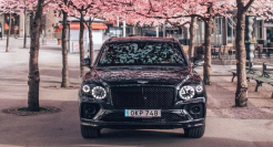 “50辆宾利”刷屏背后，超豪华车正在收割谁？