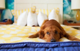 酒店长租是一门好生意吗？