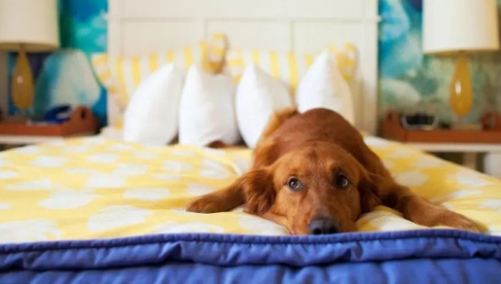 酒店长租是一门好生意吗？