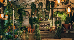 爱彼迎退出中国市场，市值一夜蒸发300亿