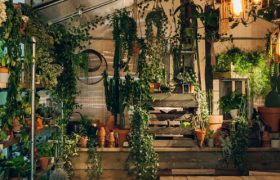 爱彼迎退出中国市场，市值一夜蒸发300亿