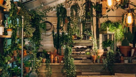 爱彼迎退出中国市场，市值一夜蒸发300亿