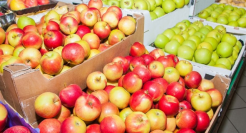 百果园上市改命