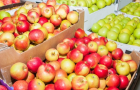 百果园上市改命