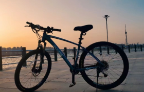 出不去的年轻人，买不起的自行车