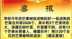 高考喜报黑话，变身卖货段子，笑死了！