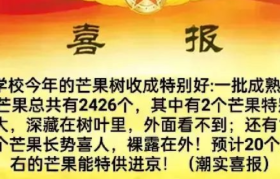 高考喜报黑话，变身卖货段子，笑死了！