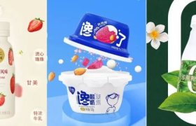 拿什么拯救你，“减速”的酸奶？