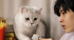 夏天来了，看一些欢快的文案吧~