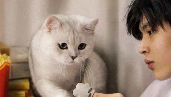 夏天来了，看一些欢快的文案吧~