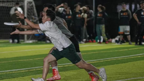 飞盘俱乐部调查：距离黄金时代，只差临门一脚