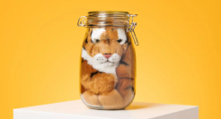 WWF推出“罐子里的老虎”，乍看呆萌，实则太窒息了！