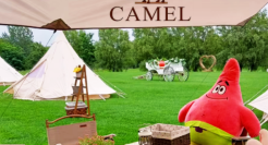 卖帐篷单场成交1000万，「露营生意」到底有多香？