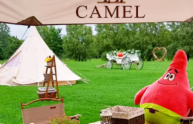 卖帐篷单场成交1000万，「露营生意」到底有多香？