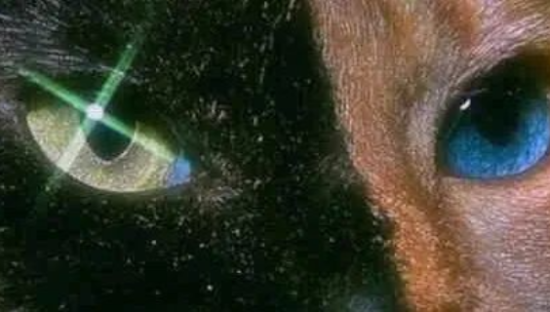 陈粒的文案，三分甜，七分咸~