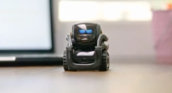 AI四小龙有耐心，资本没有