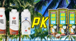 春光杠上椰树，谁是海南最贵的“椰子”？