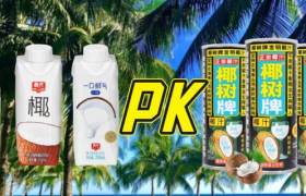 春光杠上椰树，谁是海南最贵的“椰子”？