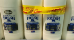 年轻人爱上的网红牛奶，全都是“泡沫”？