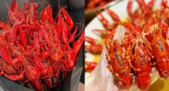 小龙虾为什么又“红”又“不红”？