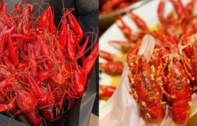 小龙虾为什么又“红”又“不红”？