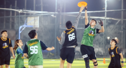 “黑红”的飞盘，商业化的前夜