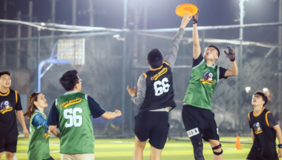 “黑红”的飞盘，商业化的前夜