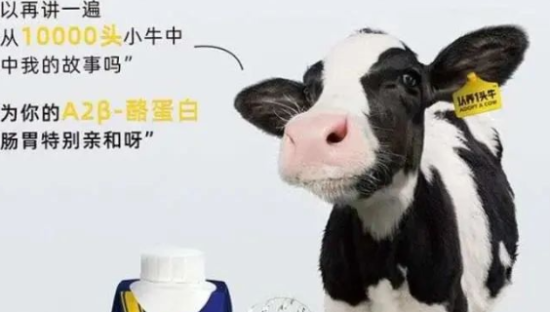 认养一头牛，“吹牛”过头了？