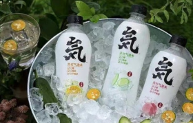 元气森林，向“两乐”开战