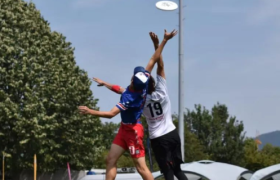 飞盘，2022年“黑红”顶流