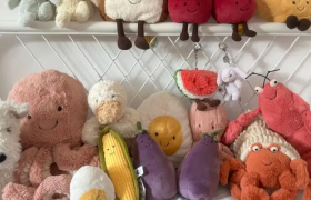 孤独的年轻人，戒不了Jellycat