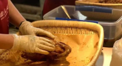 餐饮老板们，消费降级的出路绝不是“价格战”