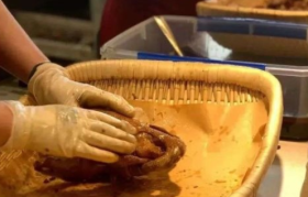 餐饮老板们，消费降级的出路绝不是“价格战”