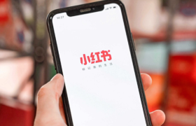加速投资的小红书，“病急乱投医”？