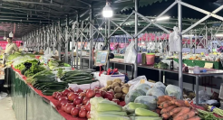 90后的焦虑，被菜市场治好了