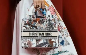 马面裙后，迪奥又抄袭中国花鸟图？