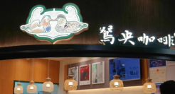 茶颜悦色、喜茶、奈雪们的“局中局”