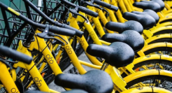 屡现10万+擦边爆文，ofo小黄车没黄？